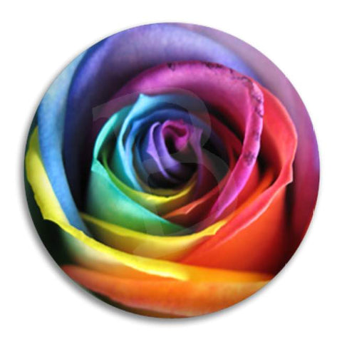 Rainbow Rose Button Badge