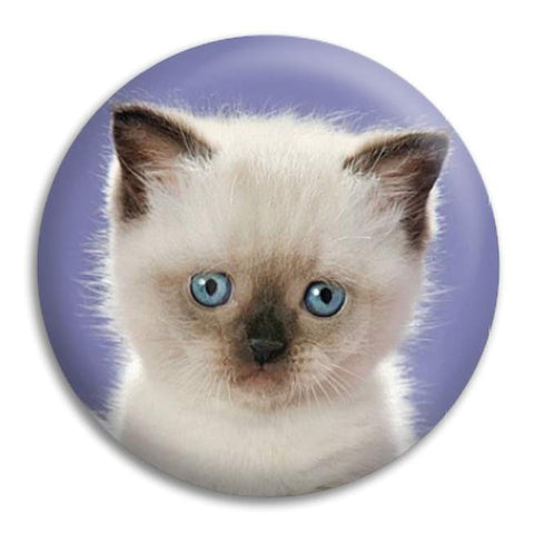 Kitten With Blue Eyes Button Badge